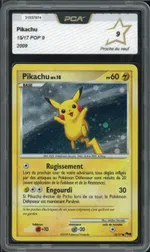 Auction visual on GCC