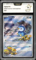 Auction visual on GCC