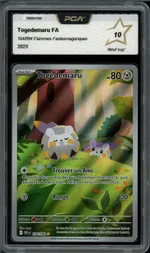 Auction visual on GCC