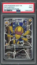 Auction visual on GCC