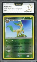 Auction visual on GCC