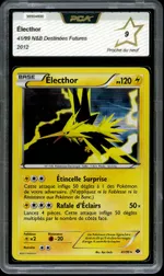 Auction visual on GCC