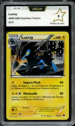 Auction visual on GCC