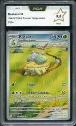 Auction visual on GCC