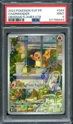 Auction visual on GCC