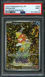 Auction visual on GCC