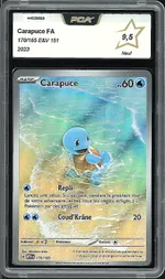 Auction visual on GCC