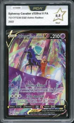 Auction visual on GCC