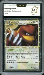 Auction visual on GCC