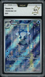 Auction visual on GCC