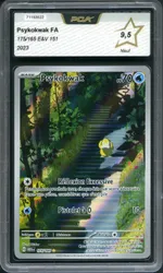 Auction visual on GCC