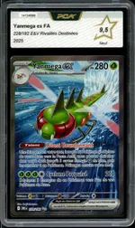 Auction visual on GCC