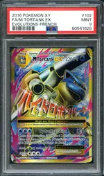 Auction visual on GCC