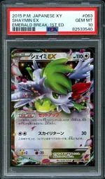 Auction visual on GCC