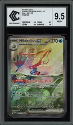 Auction visual on GCC