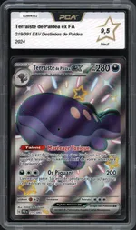 Auction visual on GCC