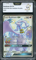 Auction visual on GCC