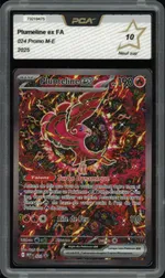 Auction visual on GCC