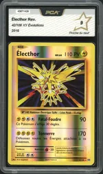 Auction visual on GCC
