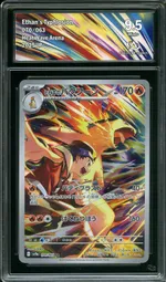 Auction visual on GCC