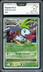 Auction visual on GCC