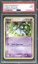 Auction visual on GCC