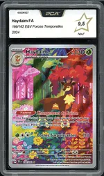 Auction visual on GCC