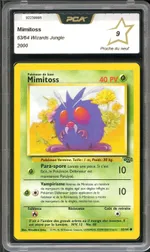 Auction visual on GCC