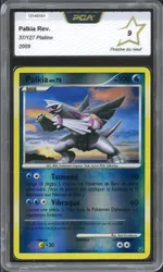 Auction visual on GCC