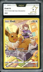 Auction visual on GCC