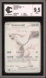 Auction visual on GCC