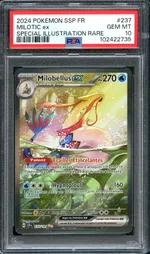 Auction visual on GCC