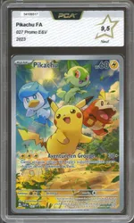 Auction visual on GCC