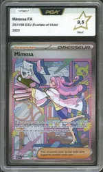 Auction visual on GCC