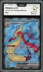 Auction visual on GCC
