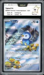 Auction visual on GCC
