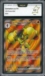 Auction visual on GCC