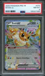 Auction visual on GCC