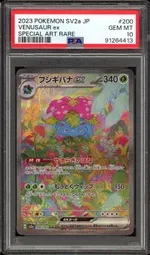 Auction visual on GCC