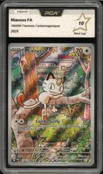 Auction visual on GCC