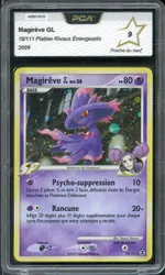 Auction visual on GCC