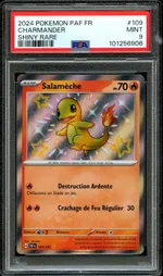 Auction visual on GCC