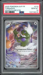 Auction visual on GCC