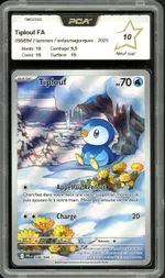 Auction visual on GCC