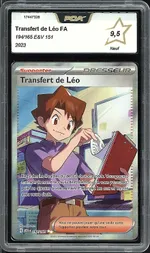 Auction visual on GCC