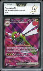 Auction visual on GCC