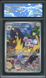 Auction visual on GCC