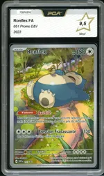 Auction visual on GCC