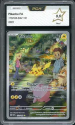 Auction visual on GCC