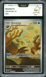 Auction visual on GCC